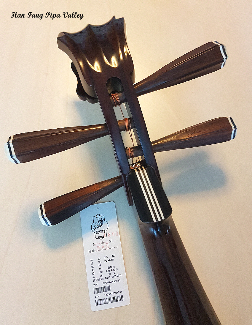 Six notes of pipa 6: Can old Han Fang still play his pipa? / 琵琶六記之六：寒方老矣，尚能彈否？