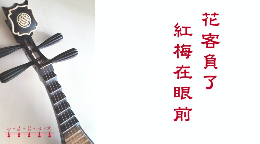 A Short Excerpt From The Cantonese Opera “The Reincarnation of The Red Plum" Played With Pipa “Dean" / 用琵琶「電」彈奏粵劇《再世紅梅記》「折梅巧遇」(調寄《漢宮秋月》)段