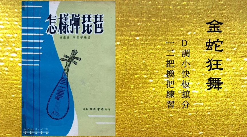 Ling&Zhou’s Pipa Etude “Ecstatic Dance Of The Golden Snake" / 「凌周版」琵琶練習曲《金蛇狂舞》