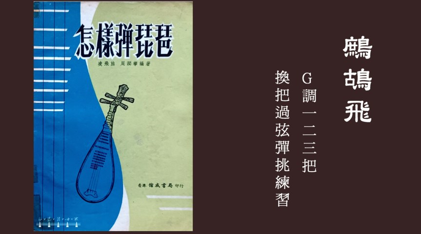 Ling&Zhou’s Pipa Etude “Flying Partridges" /「凌周版」琵琶練習曲《鷓鴣飛》