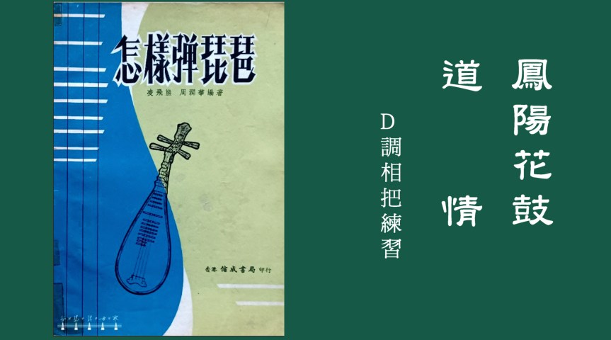 Ling&Zhou’s Pipa Etude “Fengyang Flower Drum" “Dao Qing" / 凌周版琵琶練習曲《鳳陽花鼓》《道情》